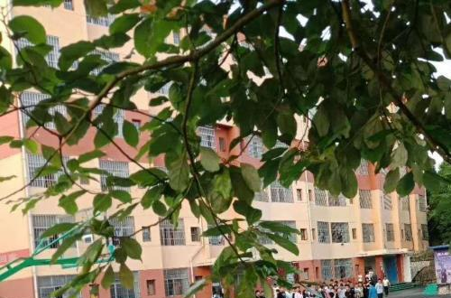 贵州邮电学校网站