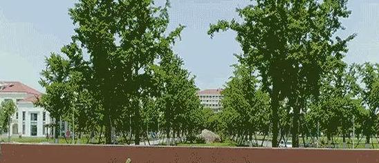 上海师范大学