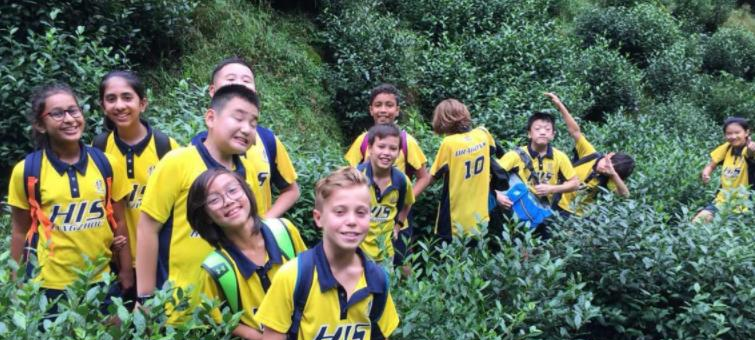 杭州国际学校网站