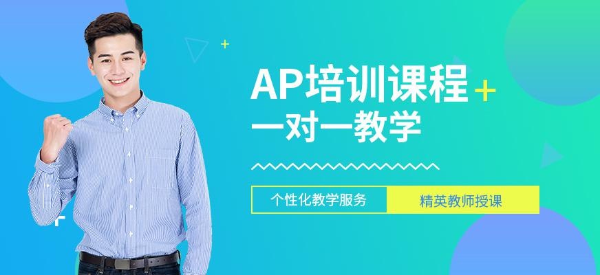 杭州ap辅导