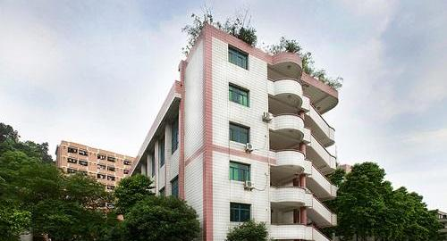 重庆护士学校2020年报名条件、招生要求、招生对象