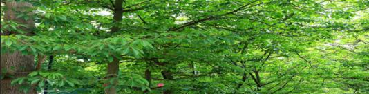 苍梧中等专业学校2020年报名条件、招生要求、招生对象