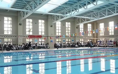 游泳馆.jpg