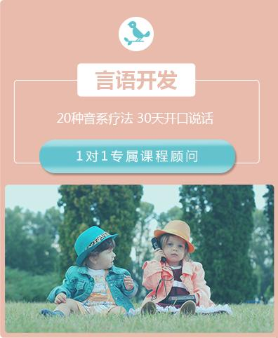 语言开发课程