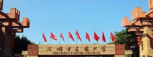 成都中医药大学是211还是985(成都中医药大学)