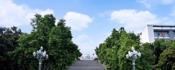 截图_20211116125615