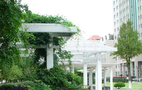 扬州大学全国排名一览表