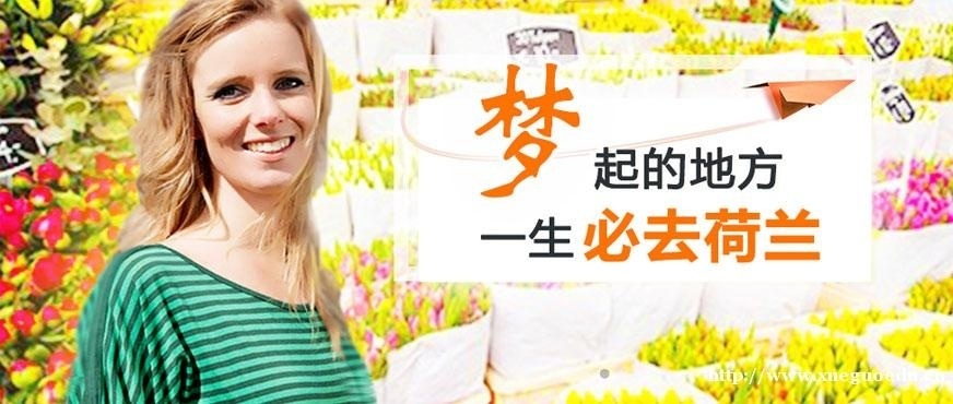 上海荷兰语培训