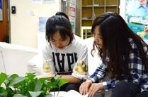 北京津桥国际学院语言培训