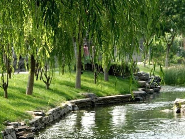 校园一角