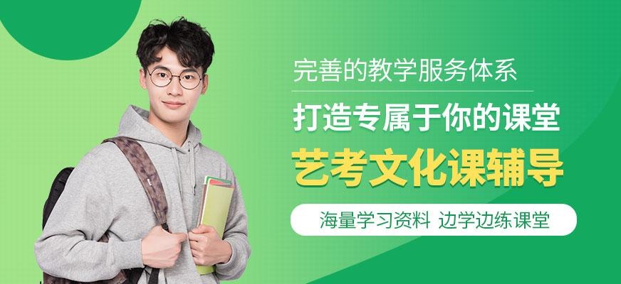 艺考文化课