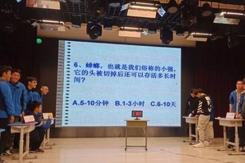 北大附实验学校