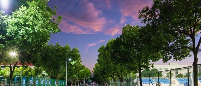 苏州职业大学是几专