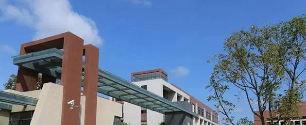 佛山协同国际学校靠谱吗