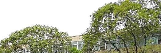 四川省人民医院护士学校