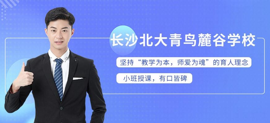 长沙北大青鸟麓谷学校