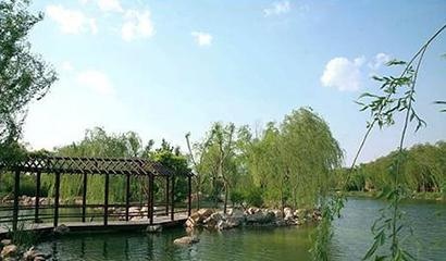 潍坊中学国际部