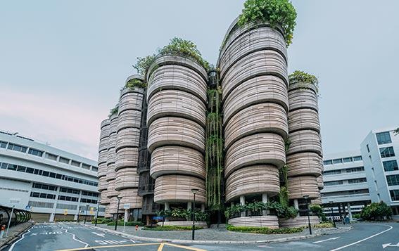 新加坡国立大学