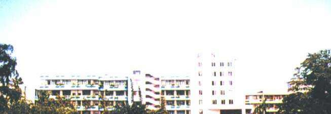 广州仲元中学国际班