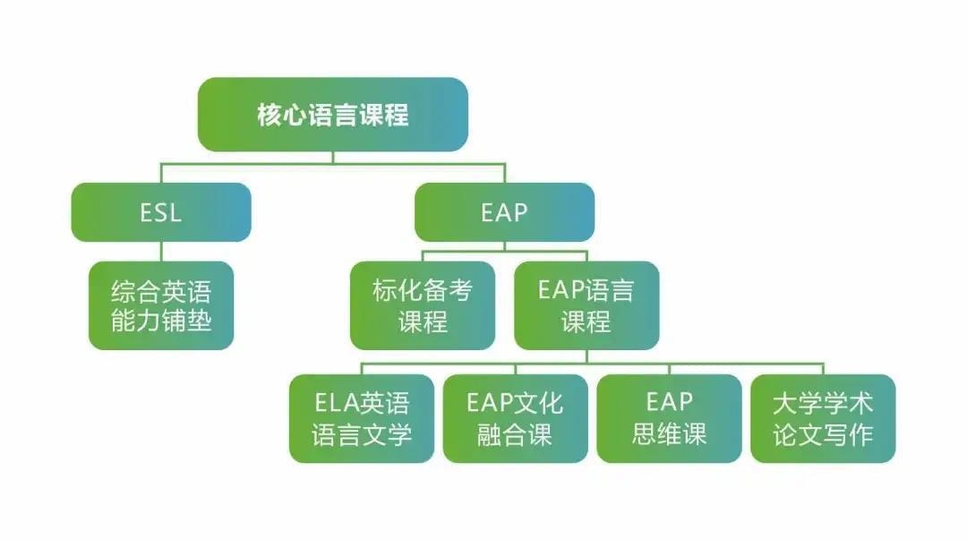 树德中学国际部