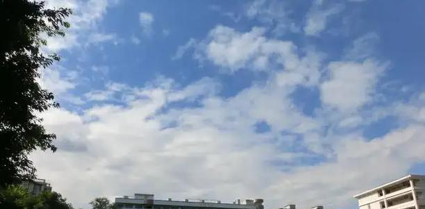 廣雅中學博雅國際班2023年課程體系