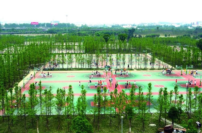 成都电子科技大学OSSD国际课程