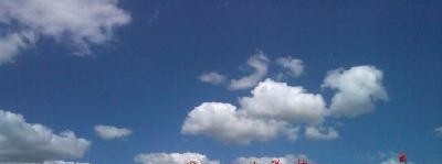 潍坊护理职业学院单招2019年单独招生成绩查询、入口