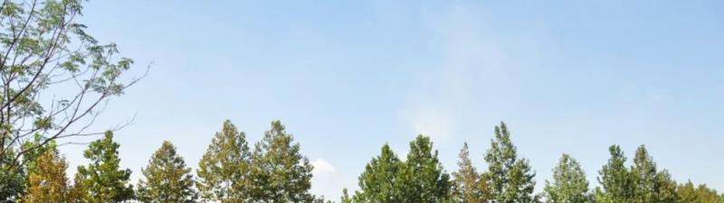 西安市培华高级职业中学