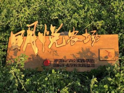 北京博雅明悦学校