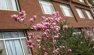 潍坊中学国际部