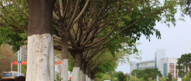 江西应用技术职业学院单招报名时间