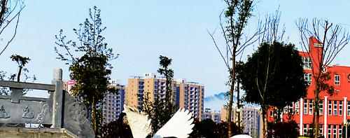 铜仁幼儿师范高等专科学校