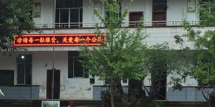 车5