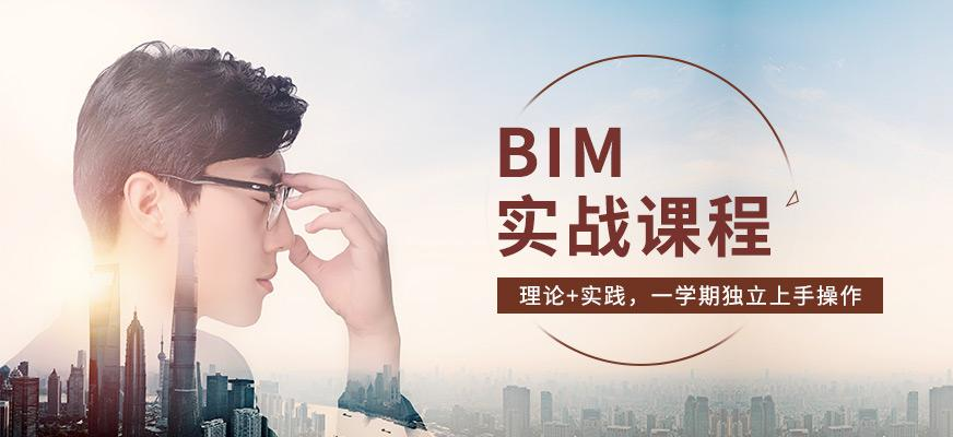 BIM