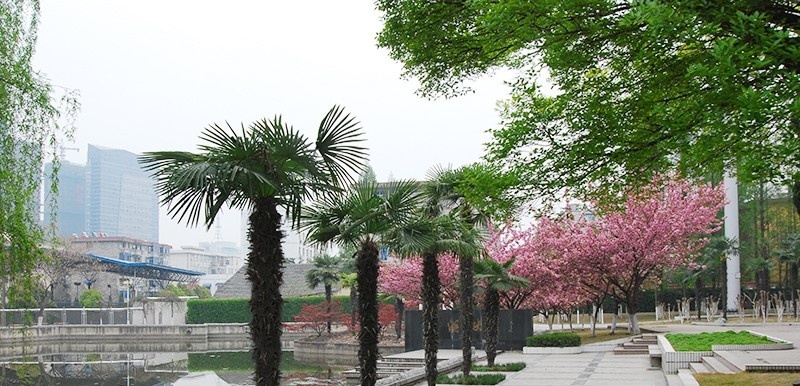 安徽邮电职业技术学院单招简章