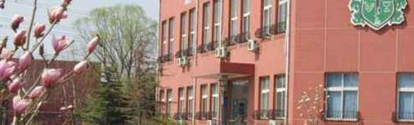 北京私立树人瑞贝学校高中部