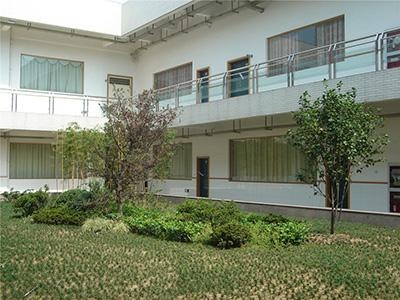 办公楼空中花园一角