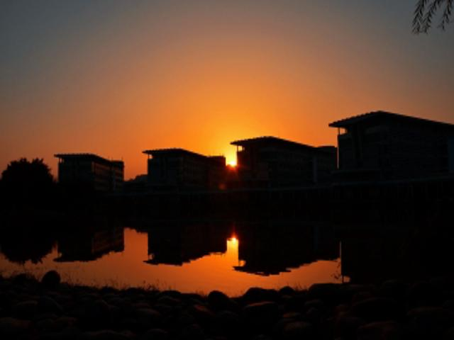 校园风景（三）