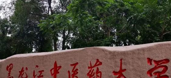 黑龙江中医药大学全国排名及录取分数线