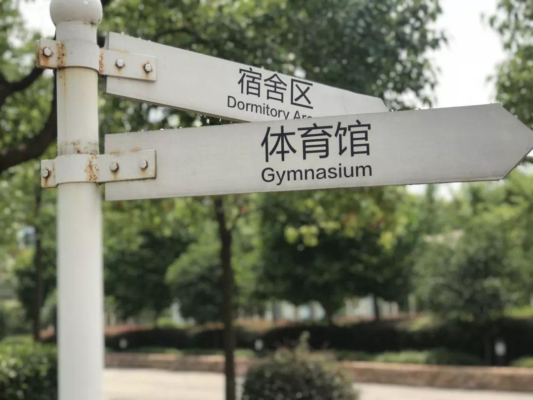 中加枫华国际学校.jpg