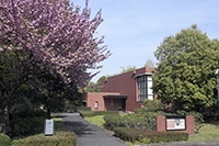 国际基督教大学