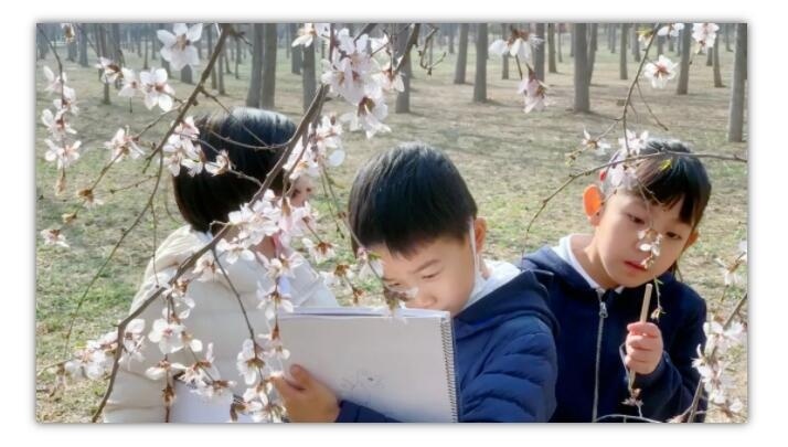 北京赫德双语学校