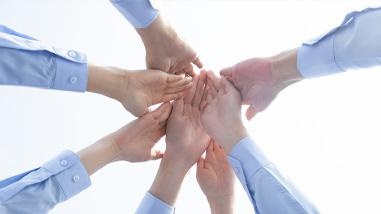 博沃思训练方式