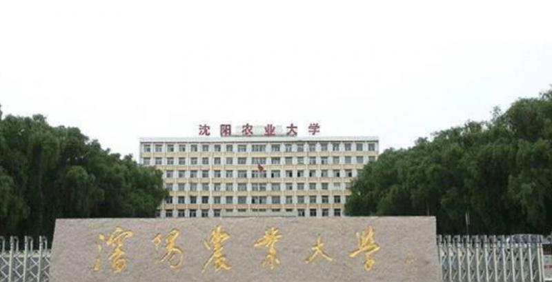 沈阳农业大学排名全国第几位