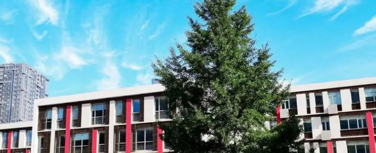 北京乐成国际学校小学部2023年录取分数线