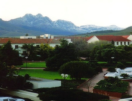 斯坦陵布什大学