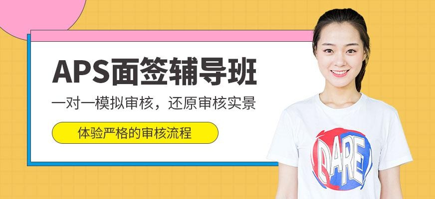 APS面签辅导班