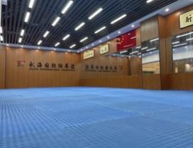 天津武海跆拳道