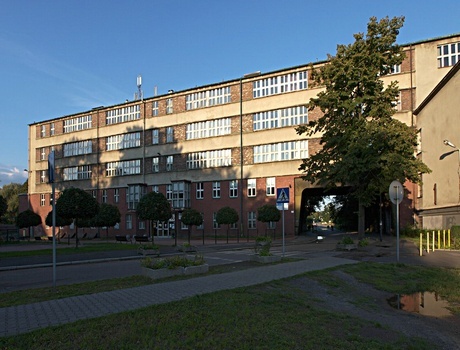 西里西亚医科大学