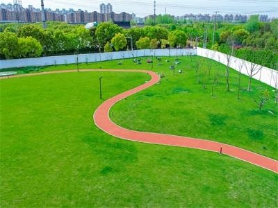 上海诺美学校
